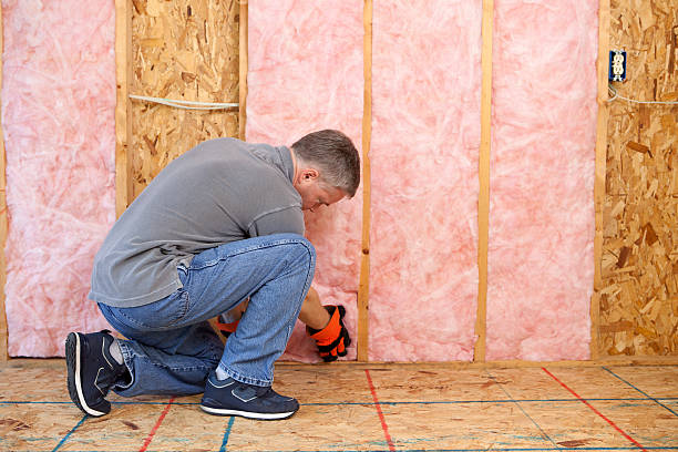 Best Types of Insulation in Eureka, CA